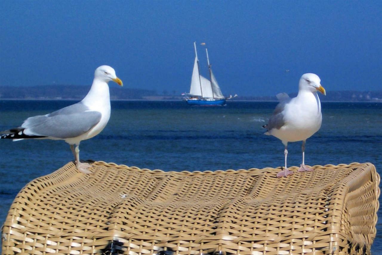 Anker Daire Laboe Dış mekan fotoğraf
